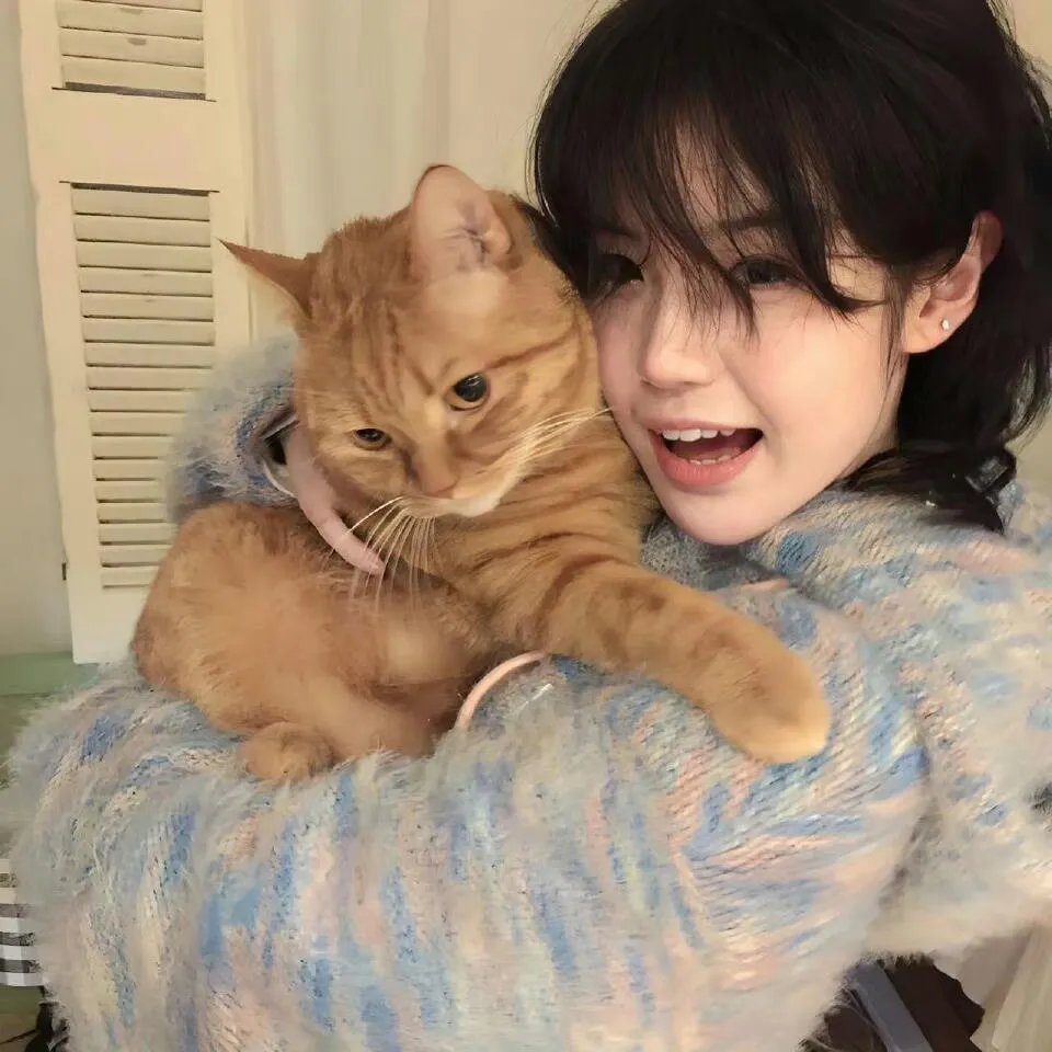 加菲猫国语