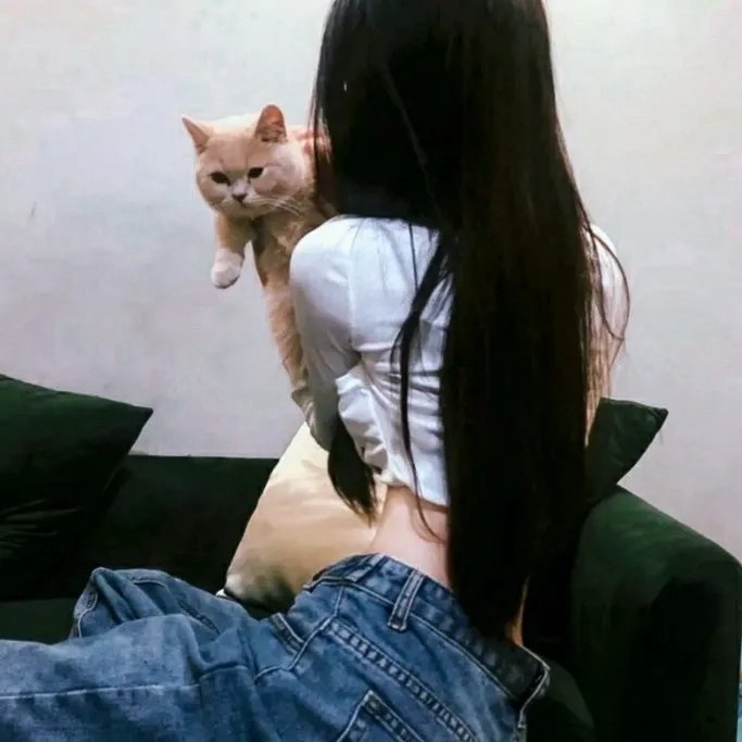 费德拉